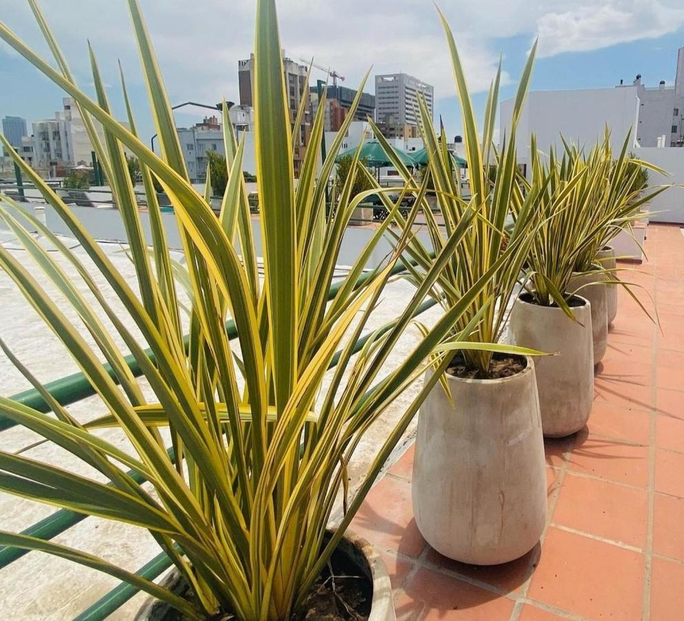 Hotel Castelar Córdoba Zewnętrze zdjęcie